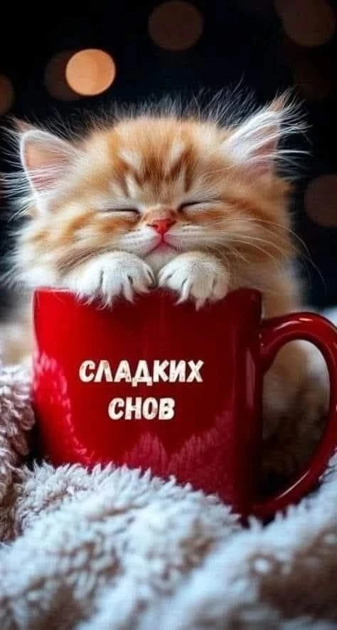 Для души ❤️