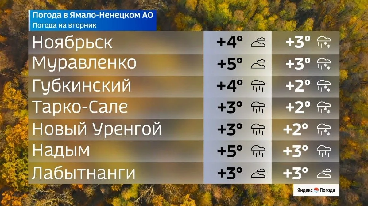 🌧 Какая погода ждет ямальцев 13 октября