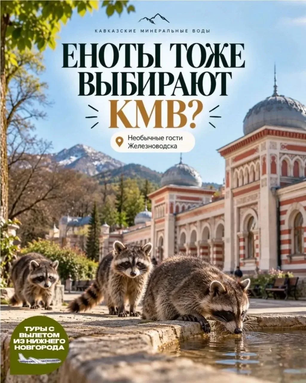 🦝 Кажется, в Железноводске появились новые любители курортного отдыха!