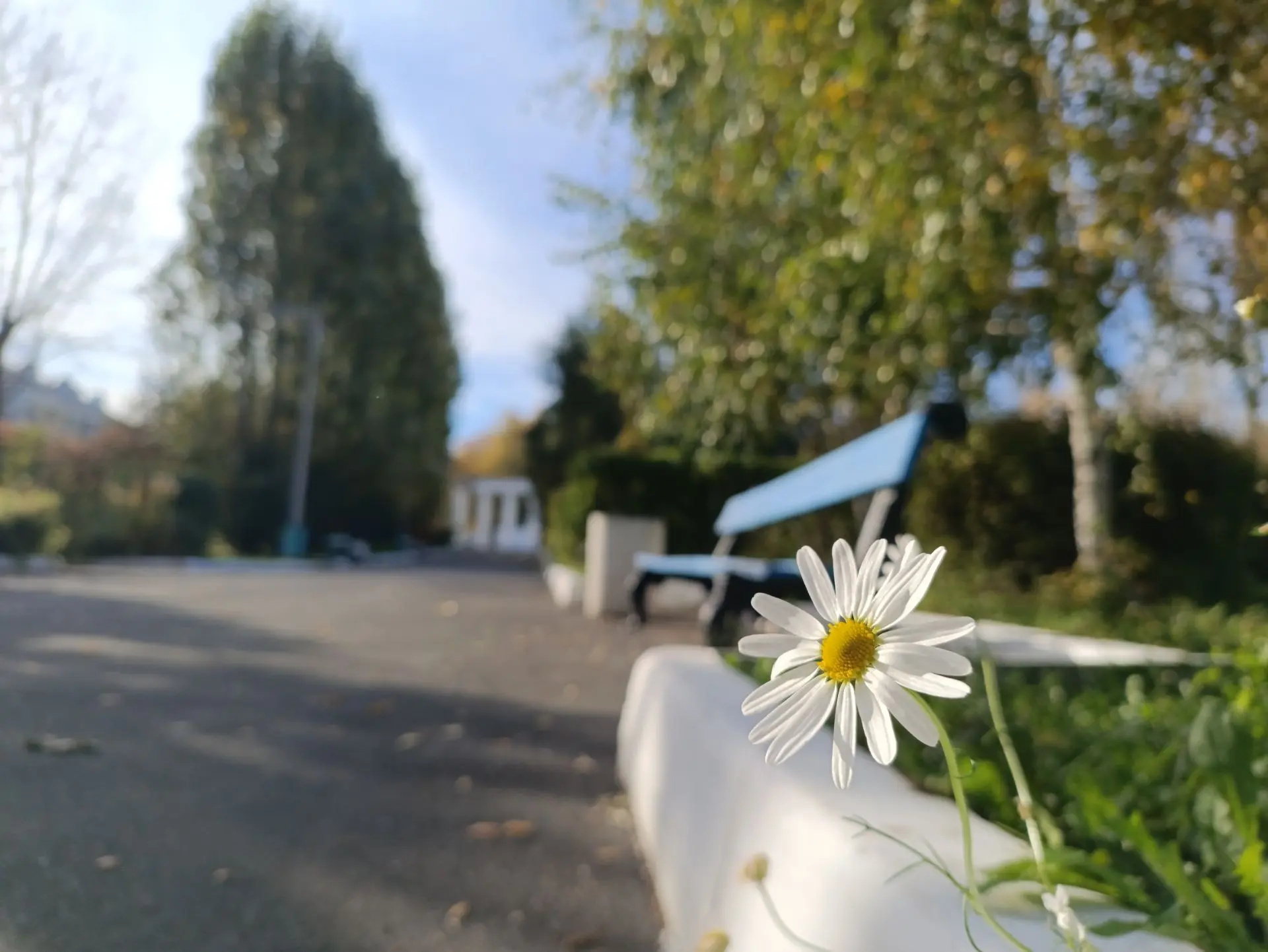 Доброе утро, дорогие жигулёвцы! 🍂
