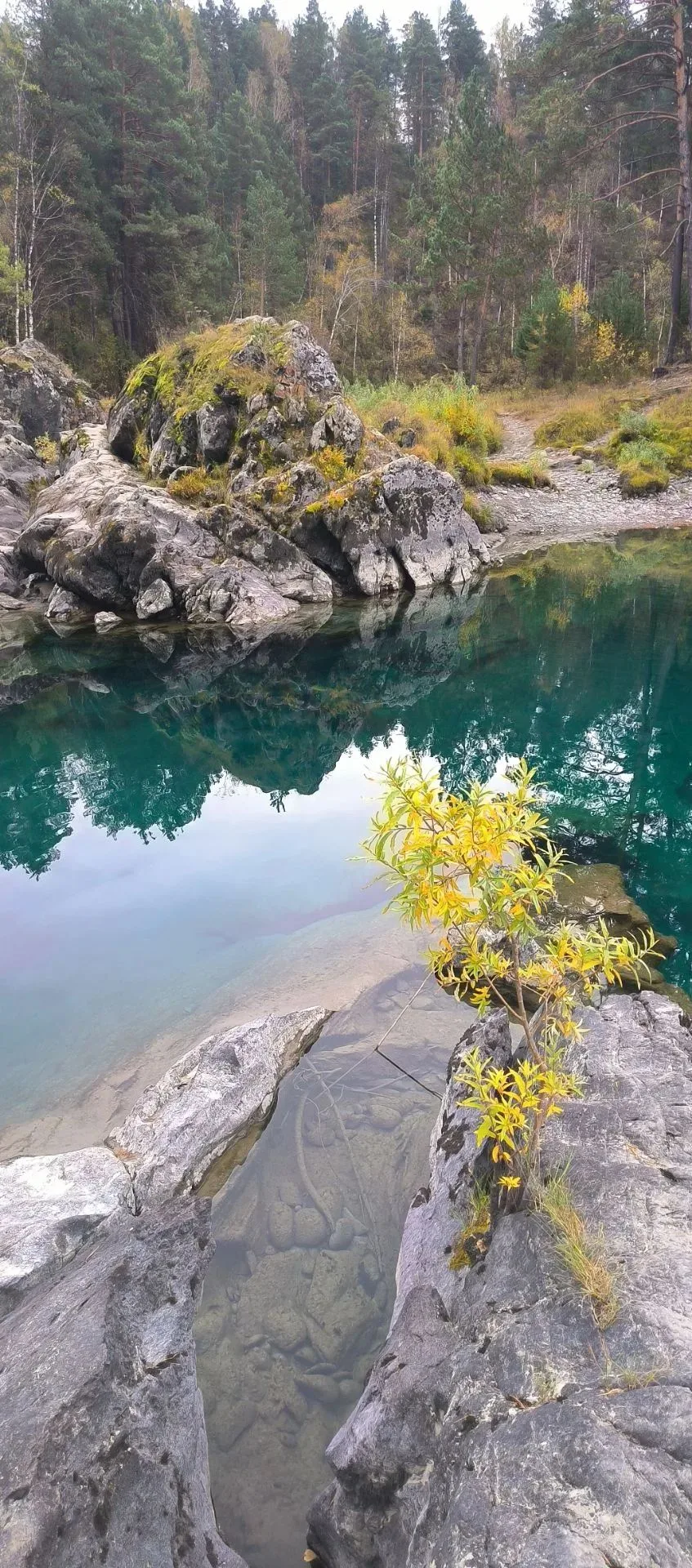 🏔️🍁🍂...Осень на Алтае - это не только   золото листвы берез, бирюза Катуни и пронзит...
