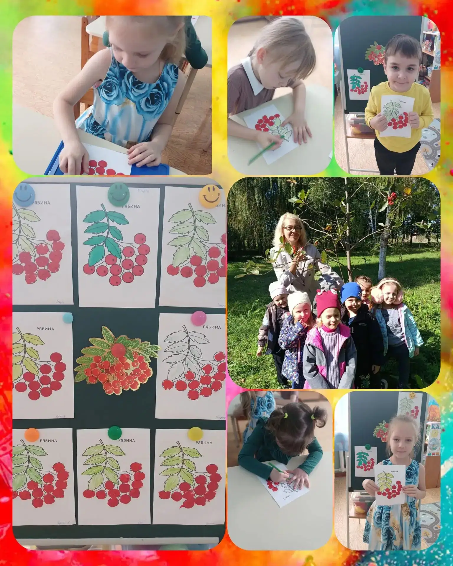 Ребята старшей группы 🌞 познакомились ещё с одним деревом родного края, с рябиной. Реб...