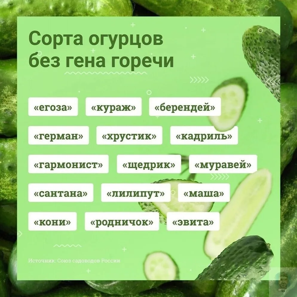 Полезная информация🤗