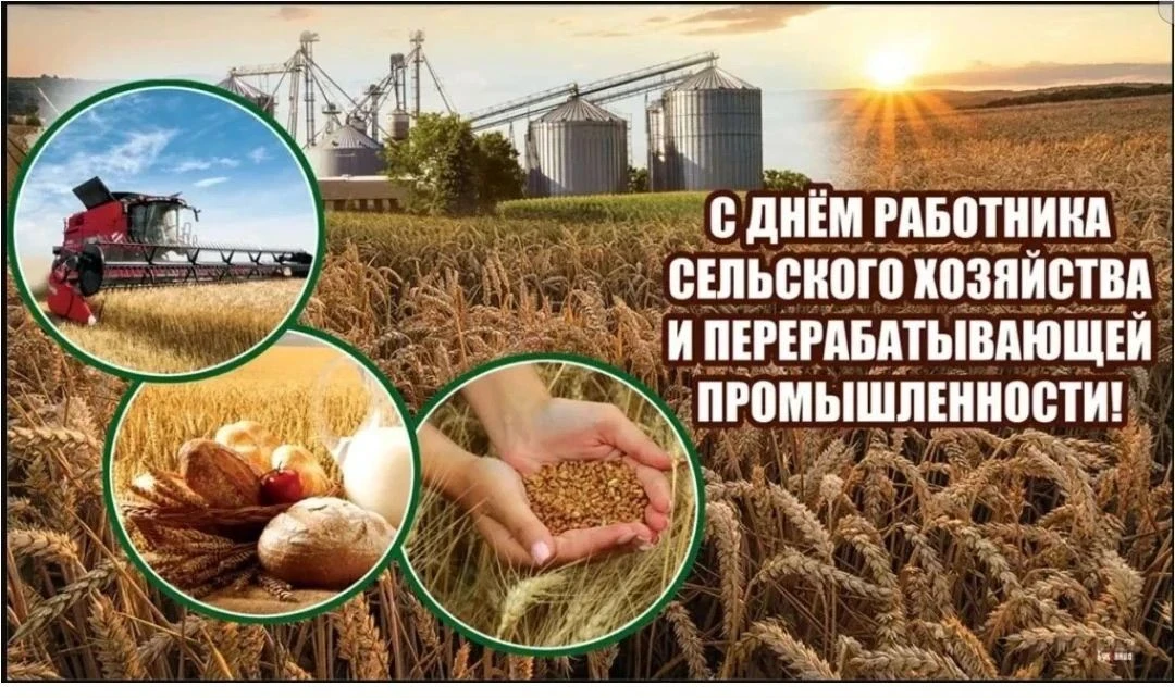 В октябре отмечается день работников сельского хозяйства и перерабатывающей промышленно...