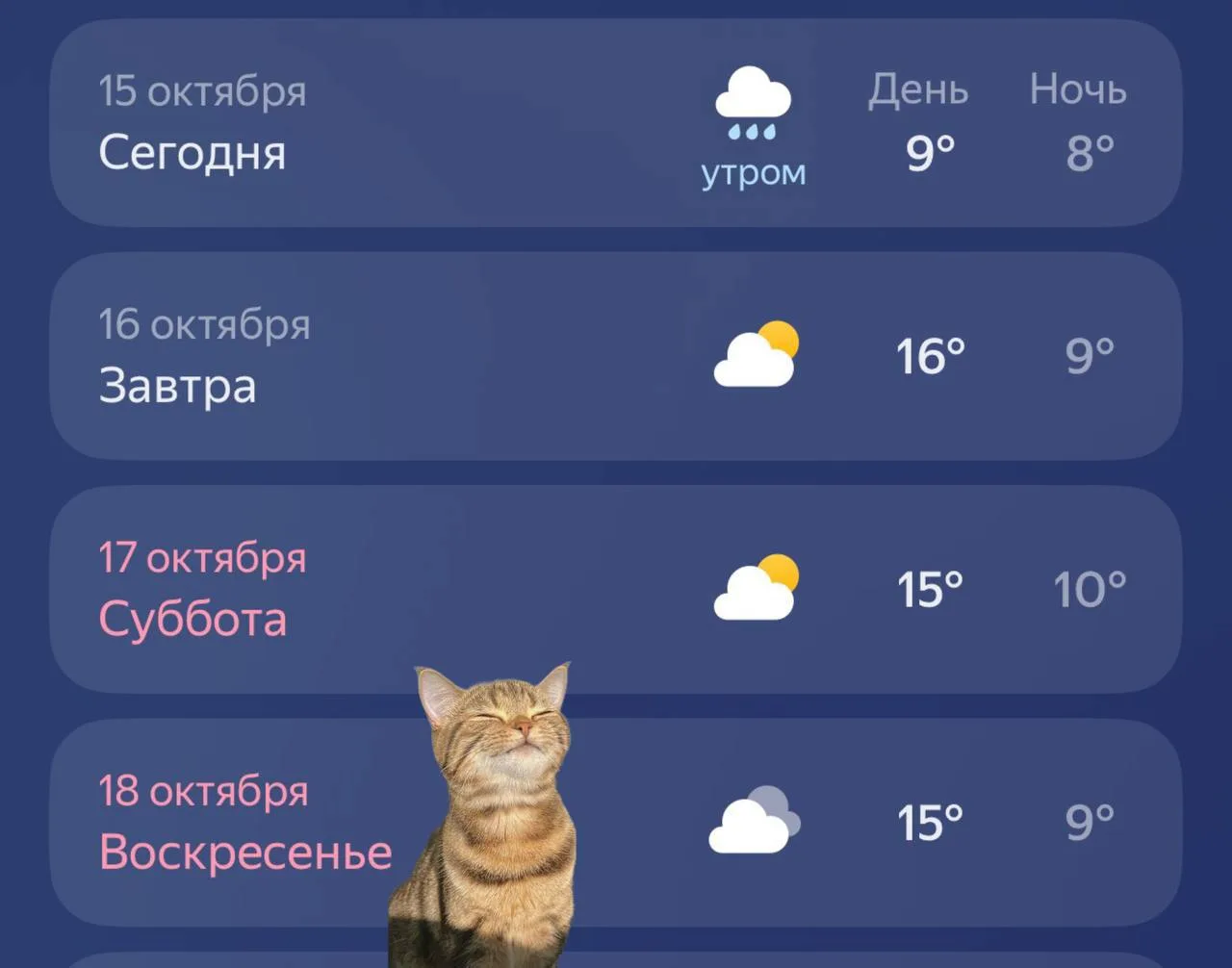 Сентябрьское тепло наступит в Москве в конце недели, — синоптики