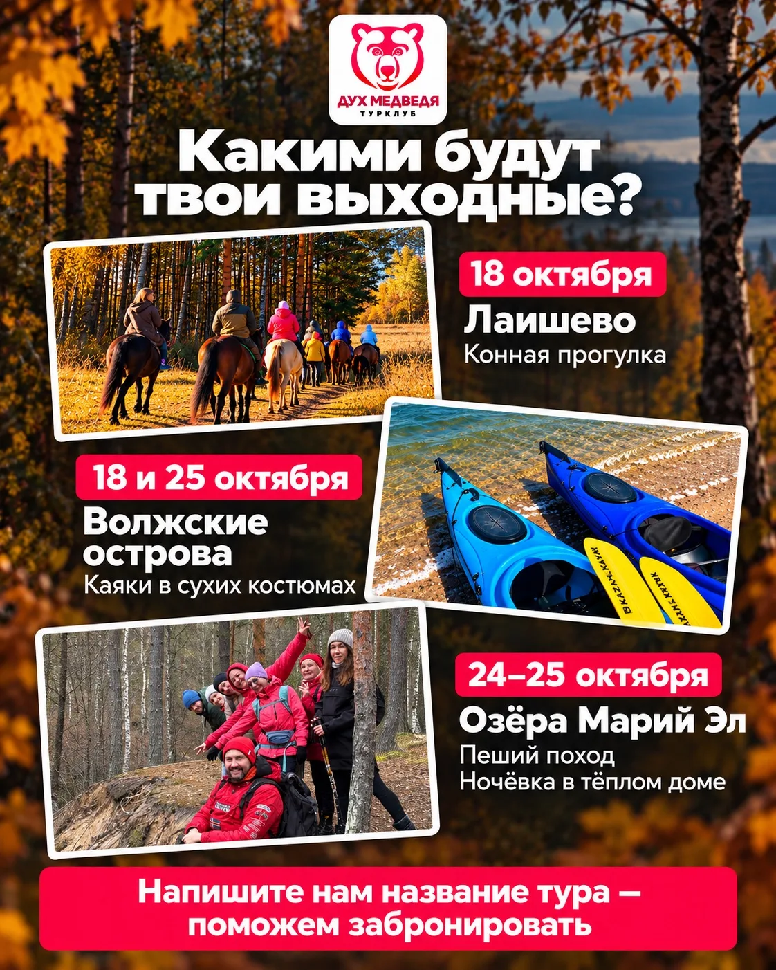 Медведи, кто с нами? 🐻🔥