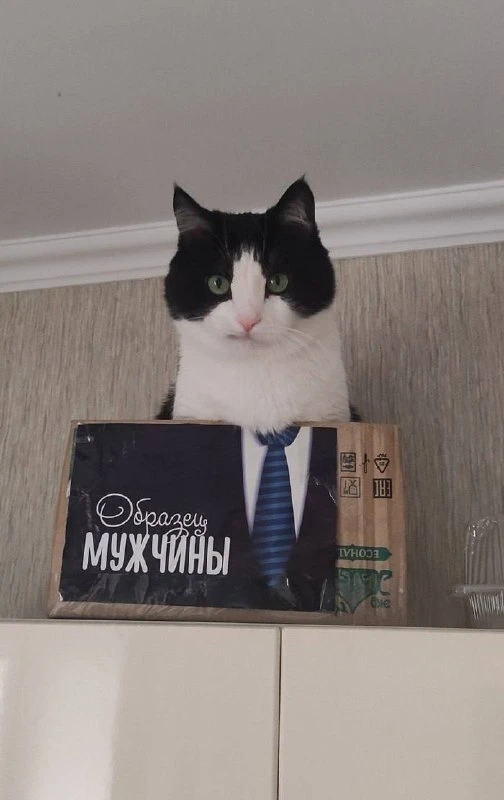 Ставь лайк! ❤️
