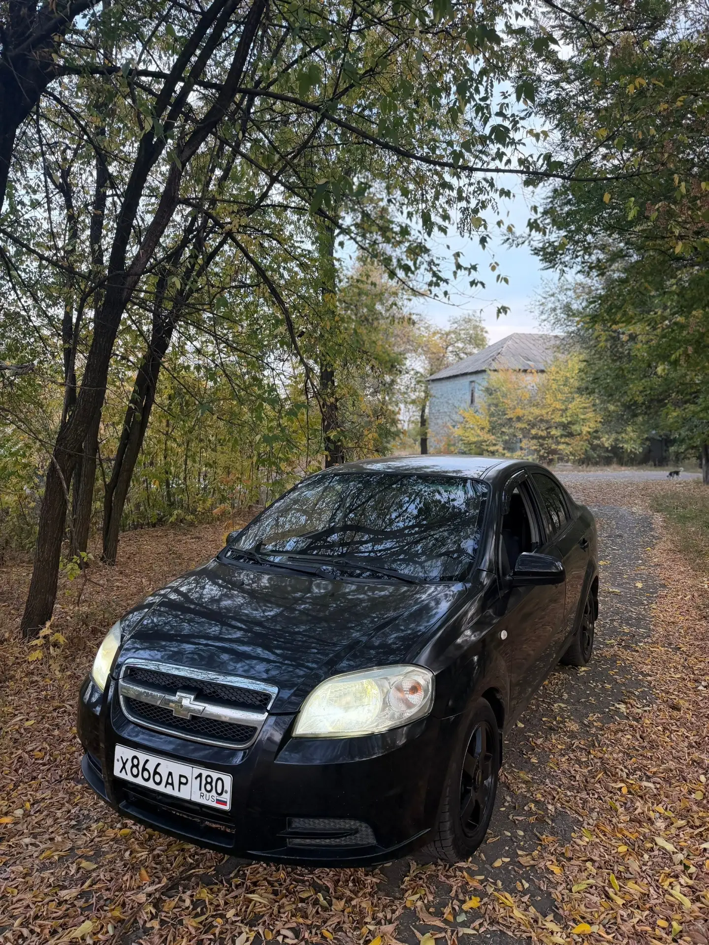 Chevrolet Aveo (Шевроле Авео) 2009 года