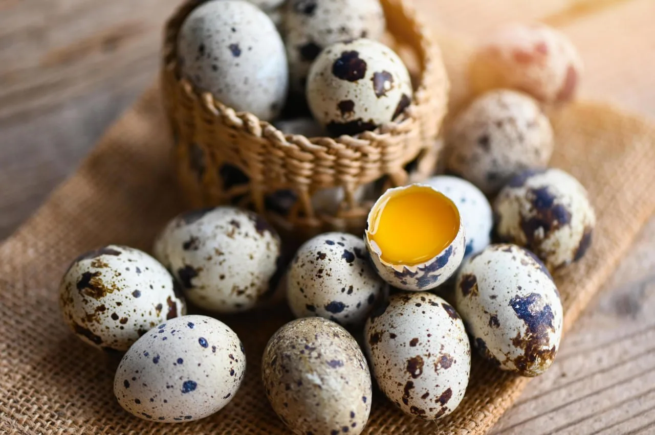 🥚 Перепелиные яйца: небольшие, но очень питательные