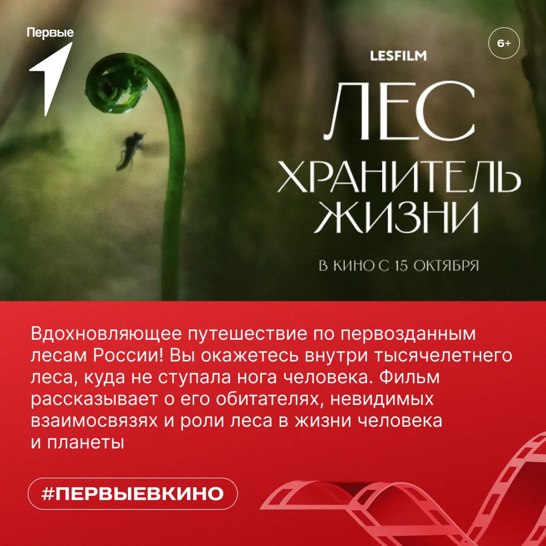 🌲 А ты когда-нибудь задумывался, сколько удивительных тайн скрывает лес?