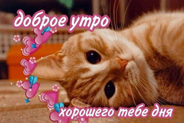 Доброе утро, Оренбург!