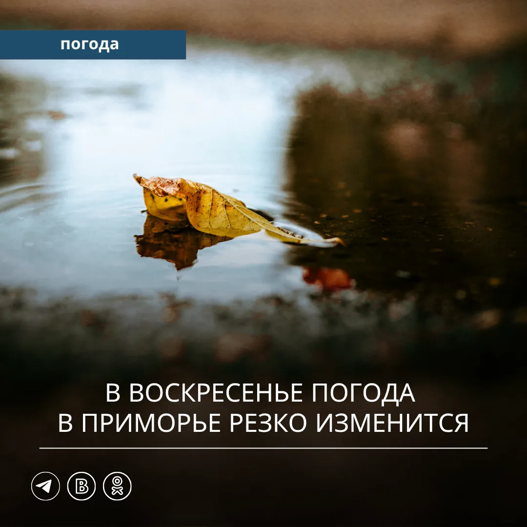 В прошедшие сутки на большей территории Приморского края осадков не наблюдалось. Лишь н...