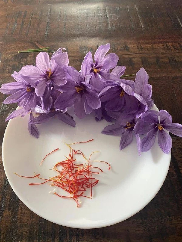 🌺 Шафран самая дорогая пряность в мире