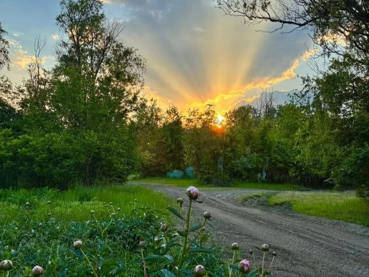 🌤️ Доброе утро!