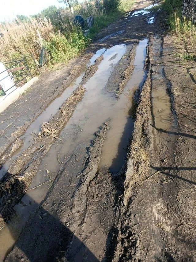 Дорогу к кладбищу в Зайково отремонтруют. Ранее курганцы жаловались на нее.