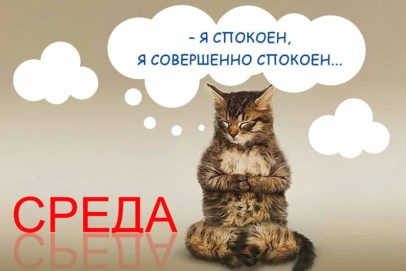 доброе утро 🙈