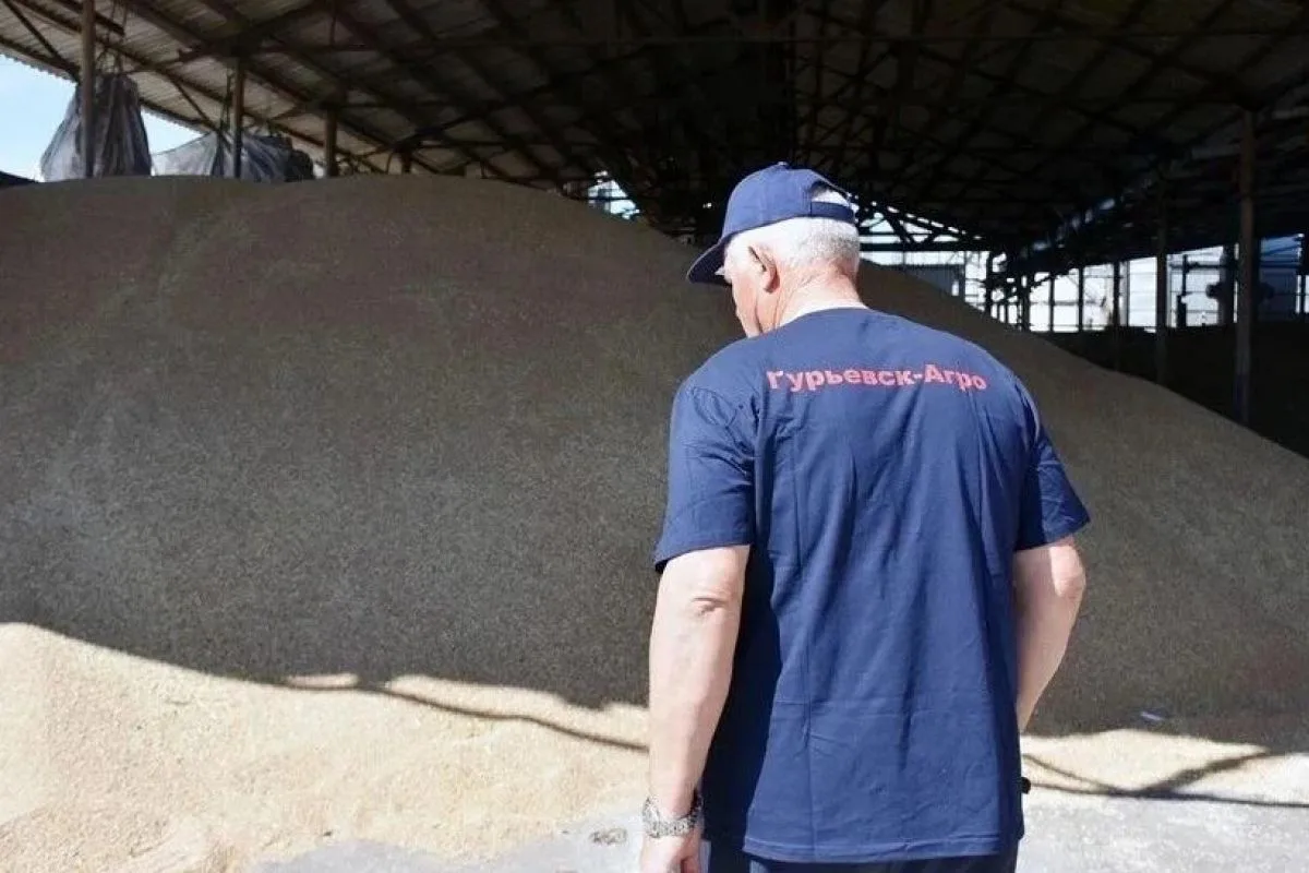 Зарплаты калининградских аграриев выросли до 76,7 тысячи рублей