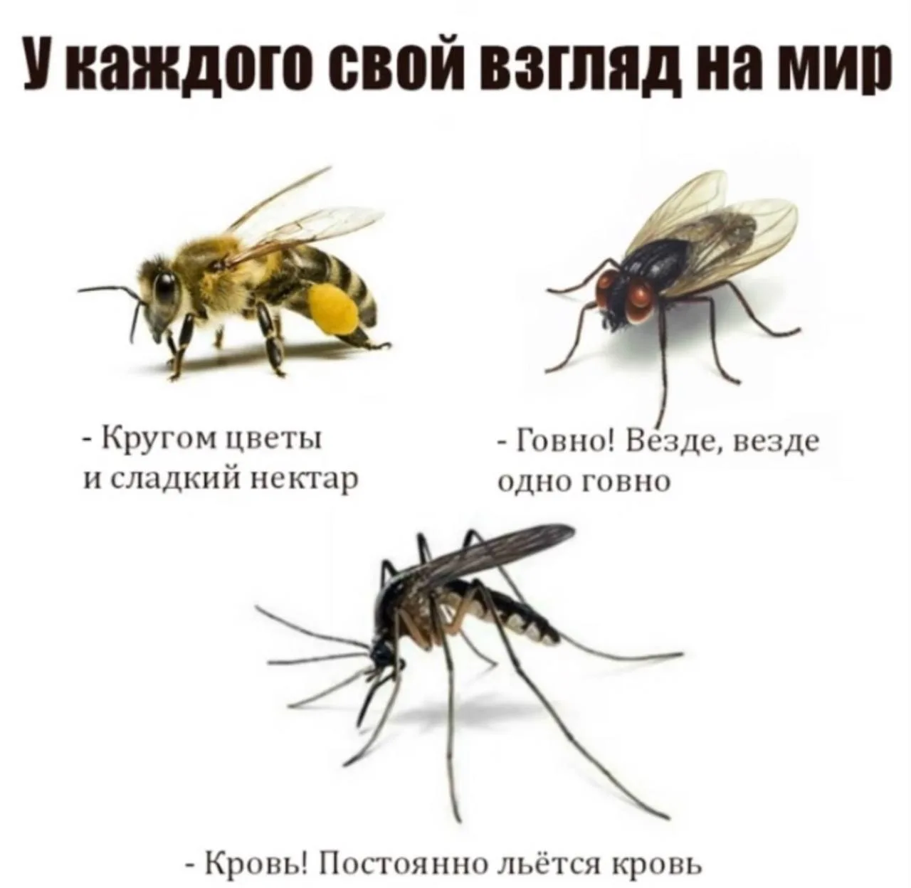 Пусть Ваше Новолуние пройдет как у Пчелы❤️