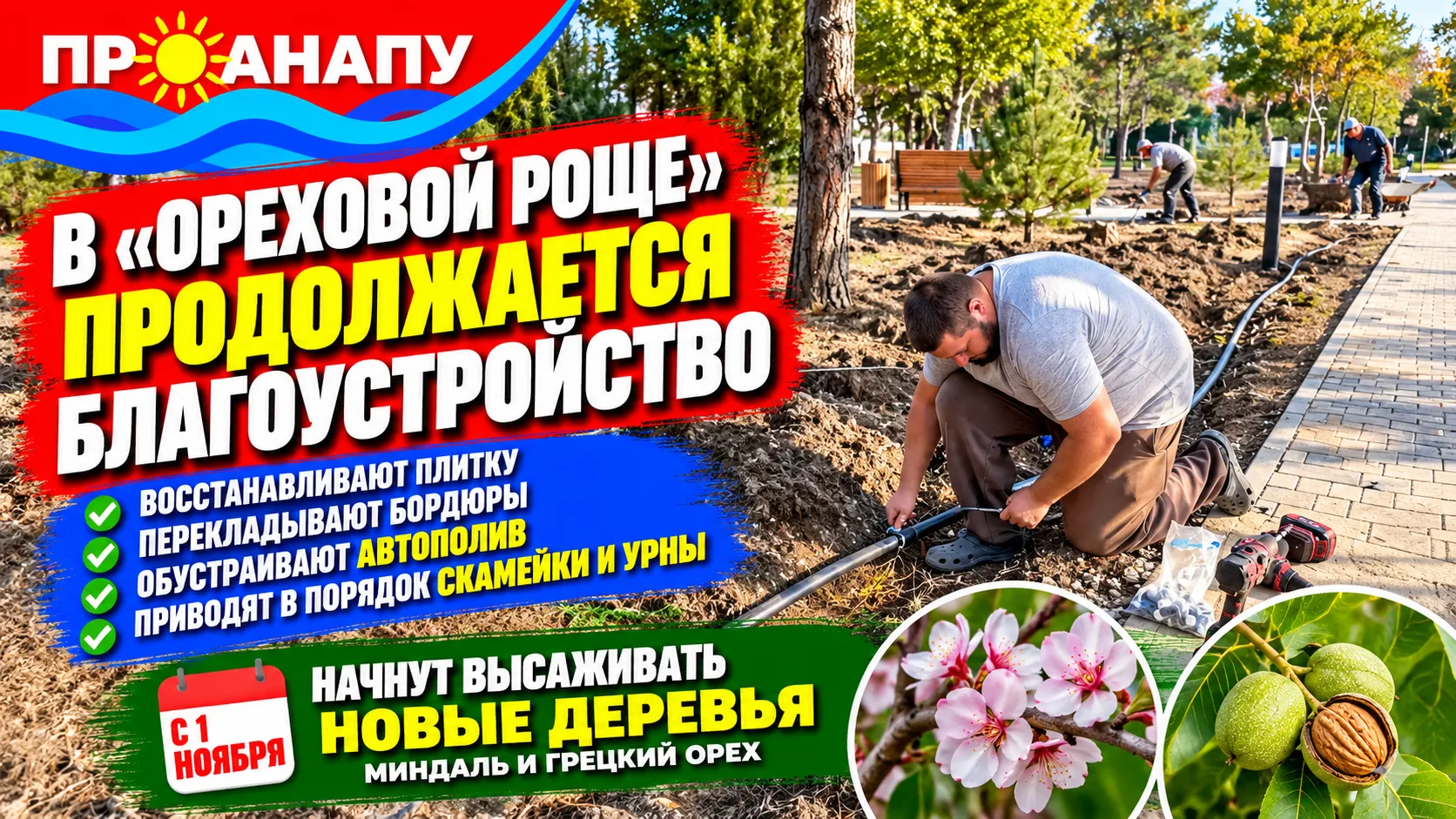В «Ореховой роще» Анапы продолжается благоустройство: с 1 ноября начнут высаживать новы...