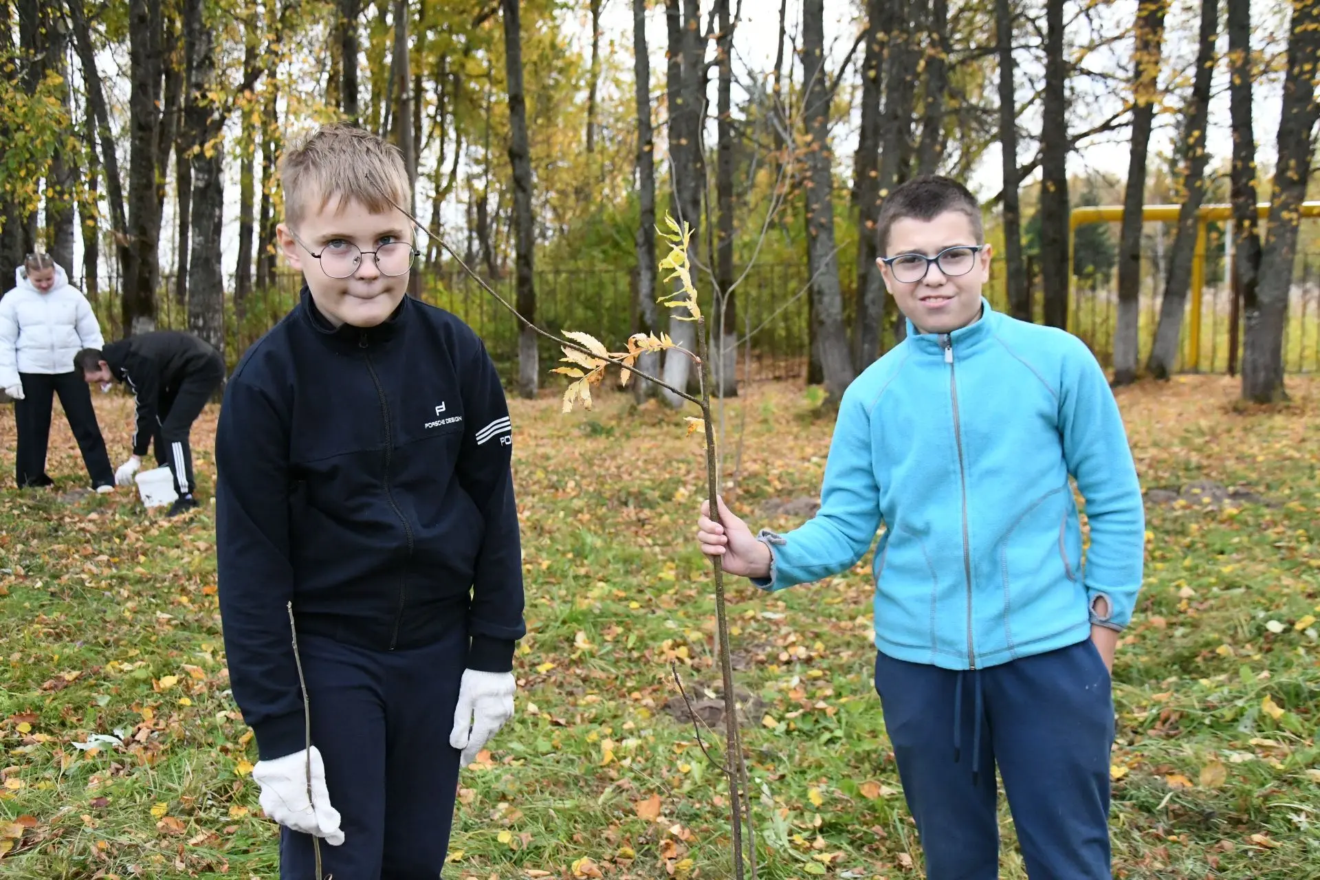 🌳 СОХРАНИМ ЛЕС!