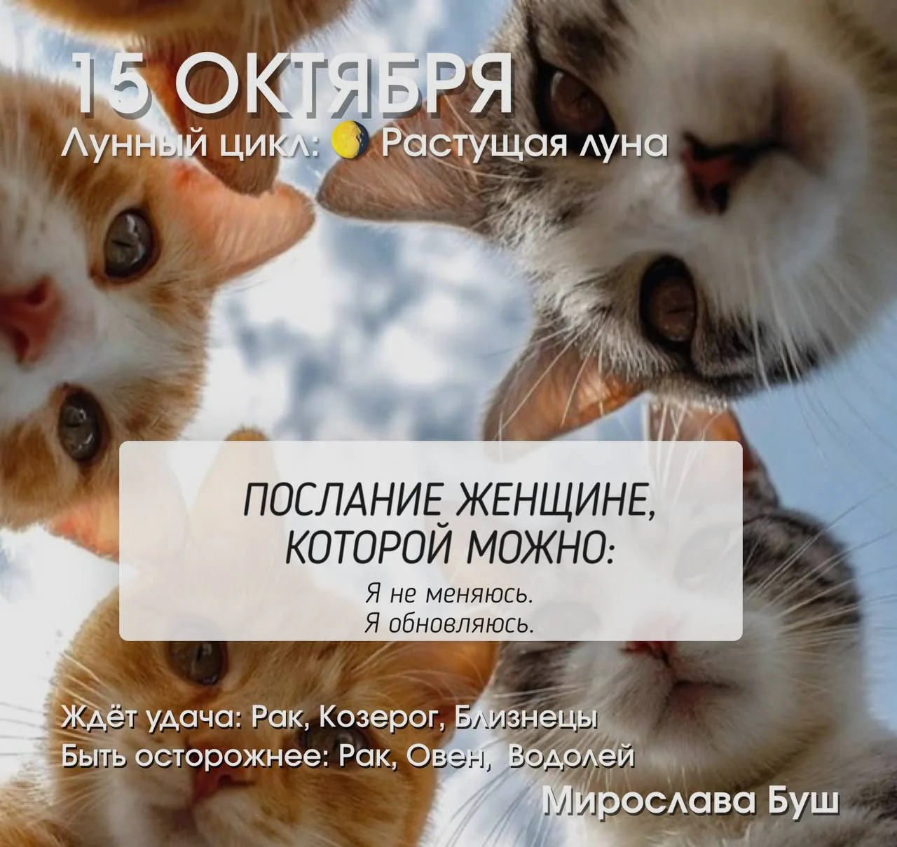14 октября РЕКОМЕНДАЦИИ 🔥