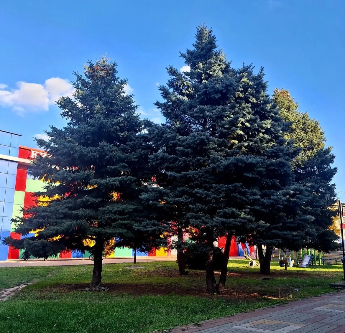 Доброе утро 🥰⏰