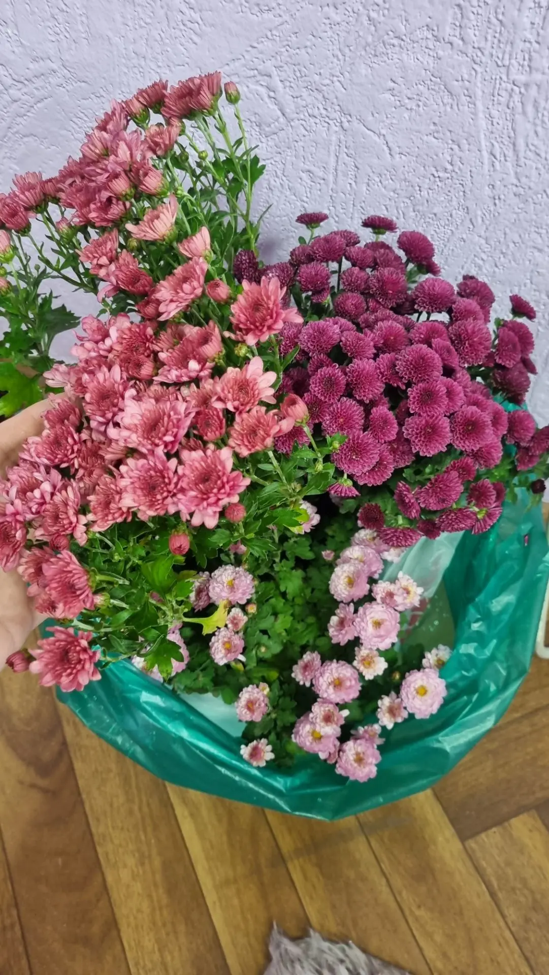 Мои новиночки😍