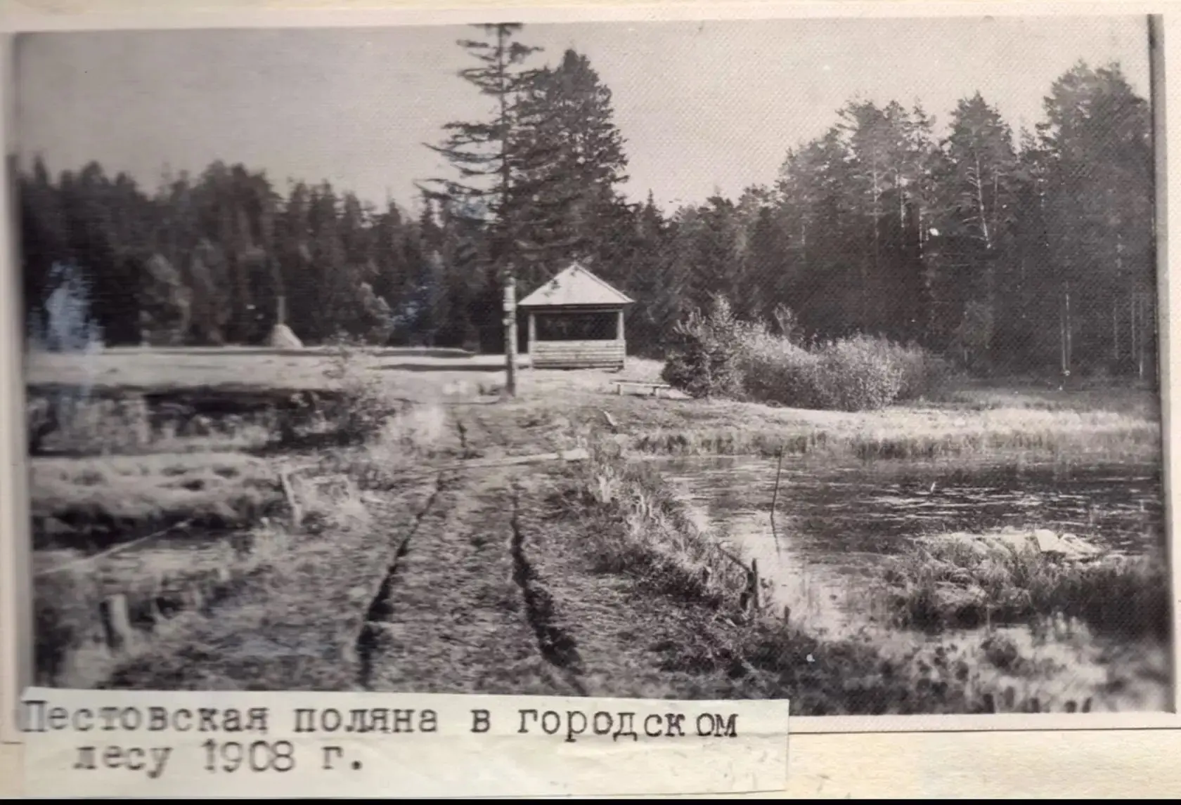 Наш городской лес красив в любое время года. Яраничи любят гулять здесь по «тропе здоро...