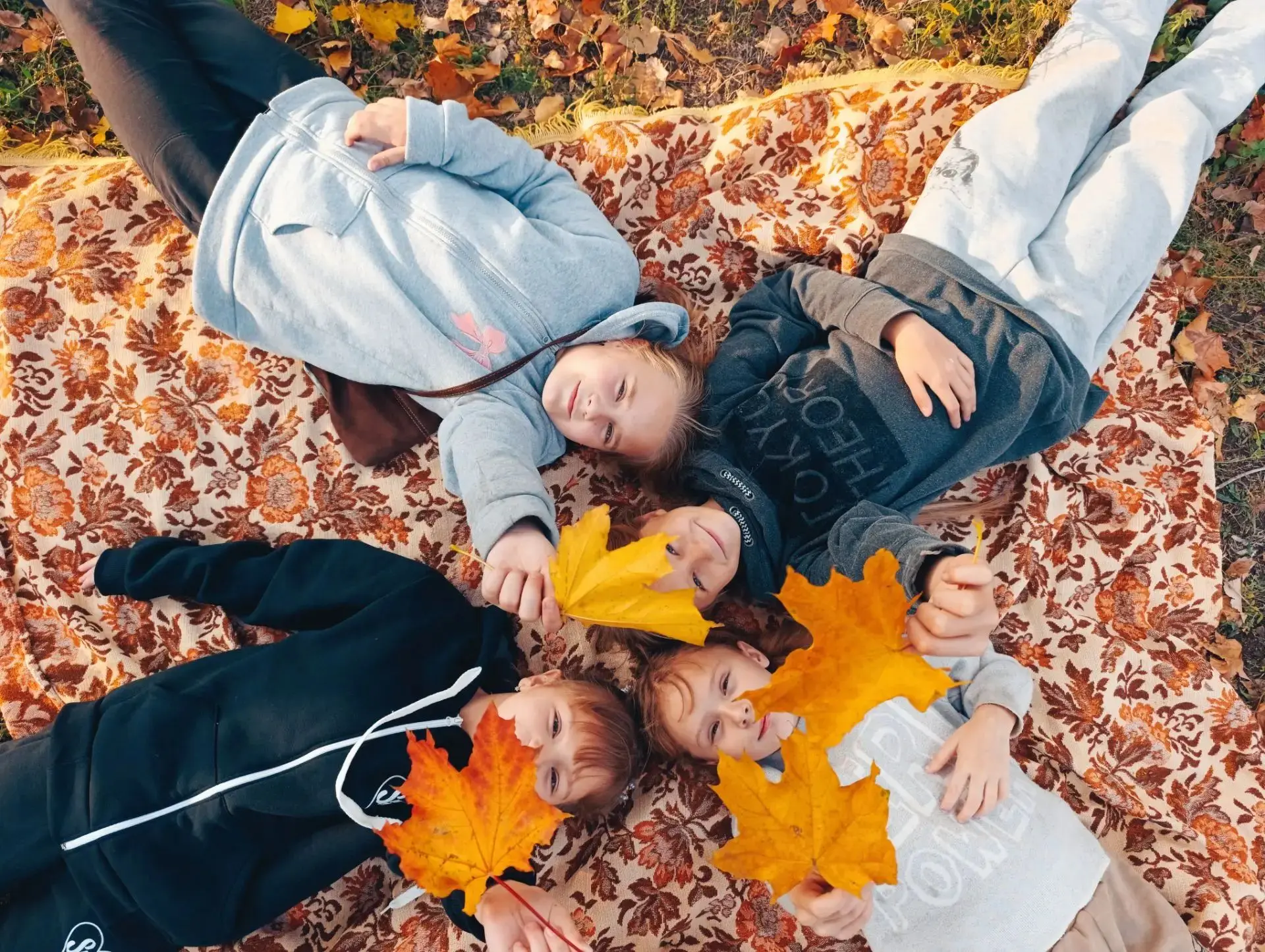 🍂 Золотая осень — время самых тёплых и ярких кадров! 📸