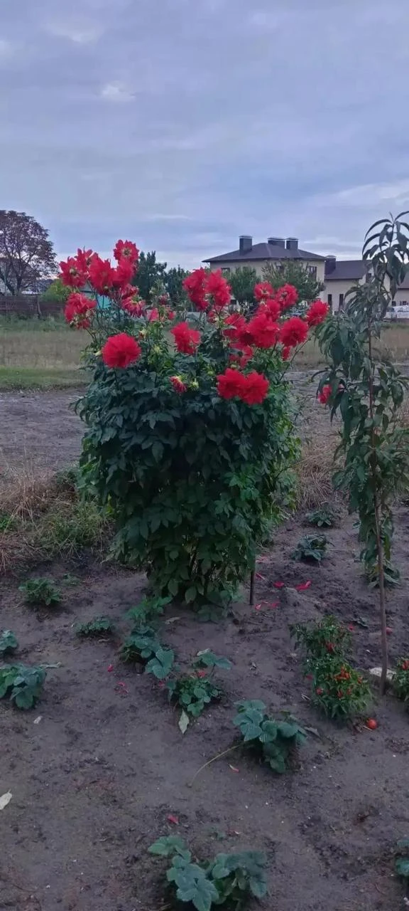 Доброе утро!