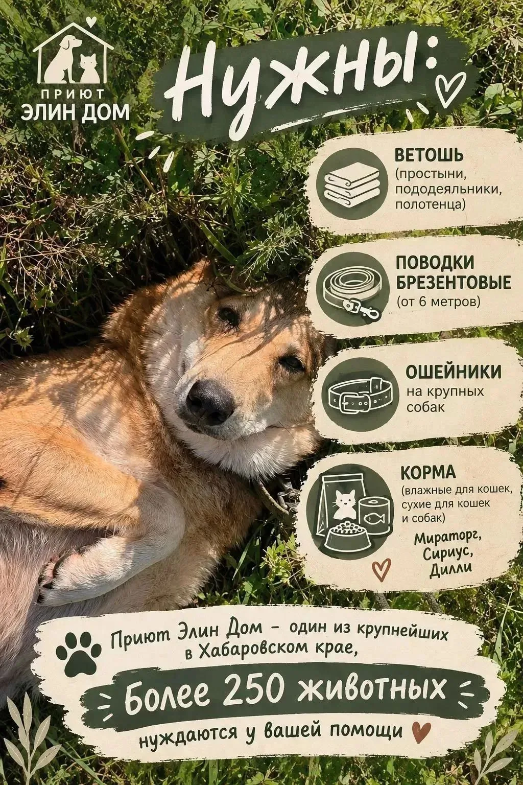 🐾 Внимание, акция «Благое дело»: подарим тепло хвостикам! 🐶🐱