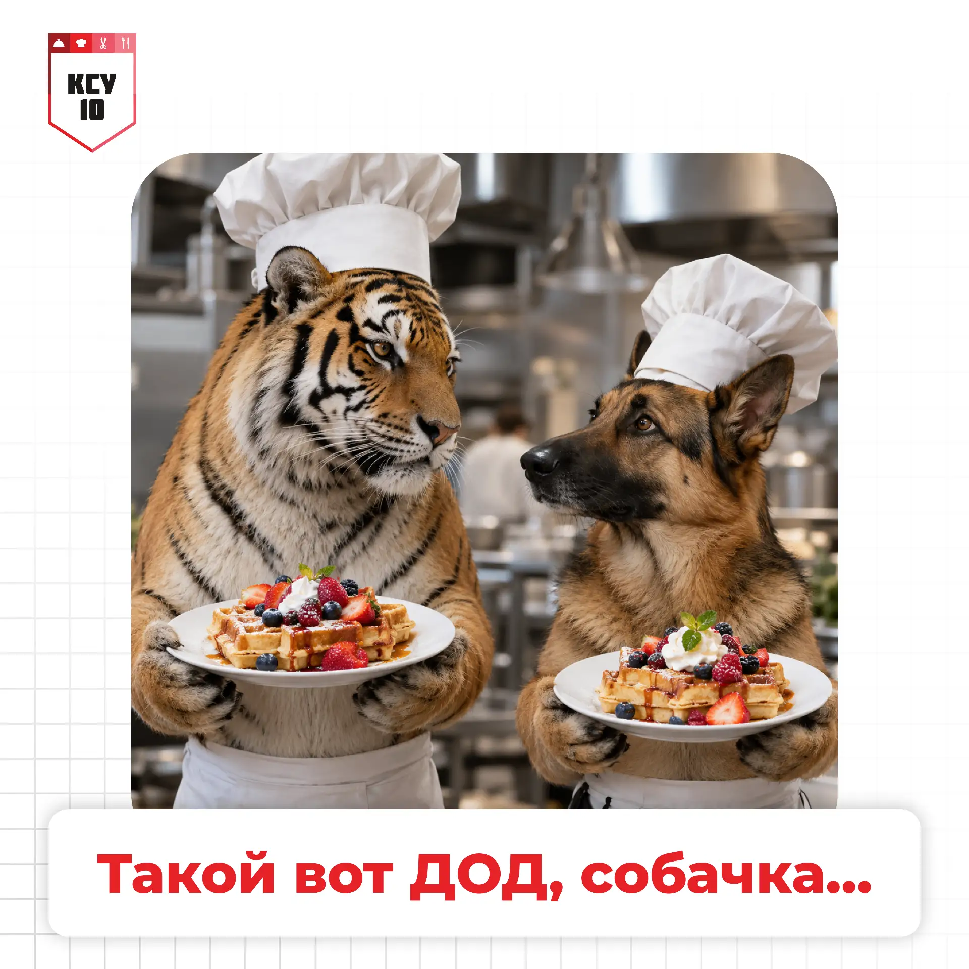 Когда на Дне открытых дверей столько активностей и мастер-классов, что растерялся 🤭