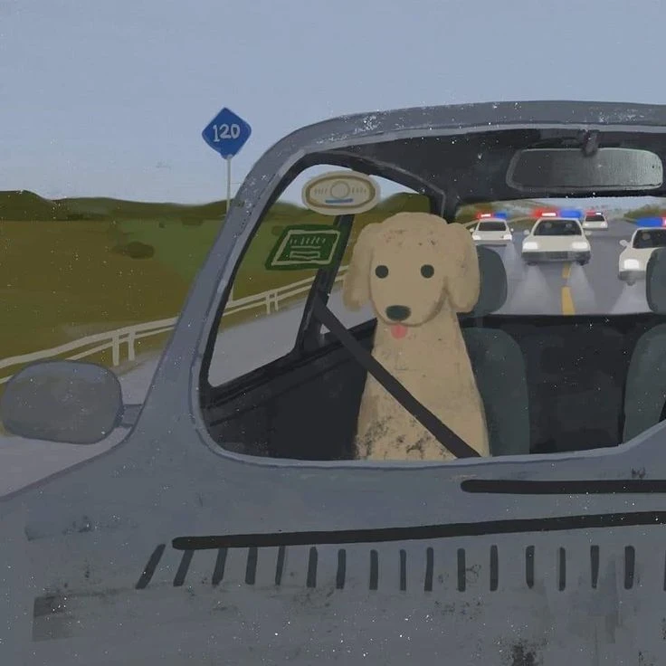 Милые парные авы
