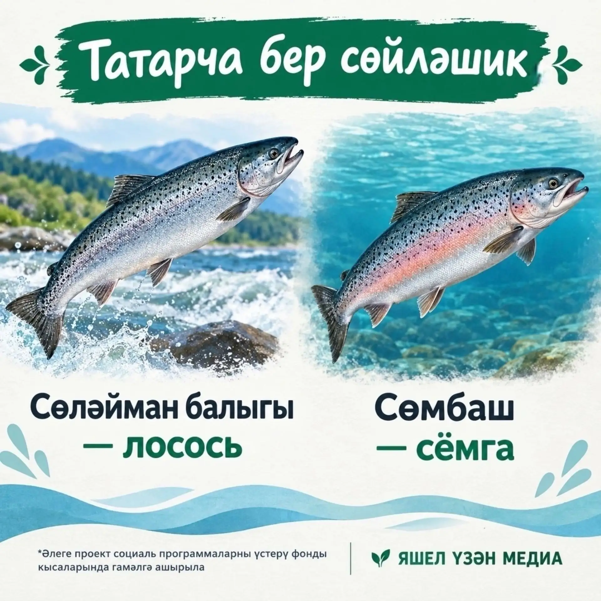 «Тере тел – сүздән башлана» исеме астында тәкъдим ителгән мәкаләләрне, видеоязмаларны, ...