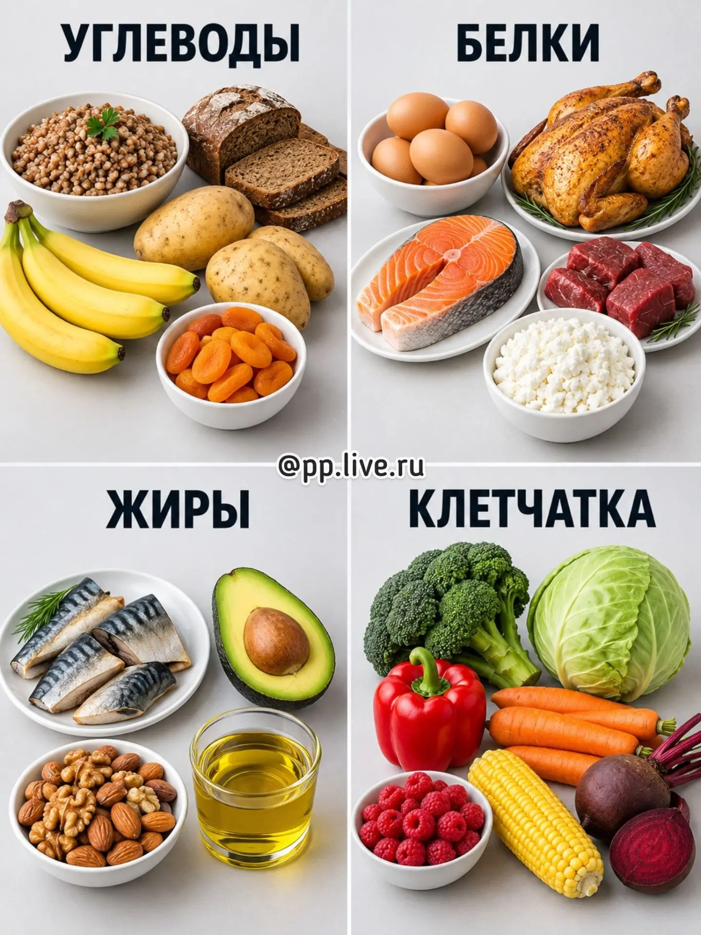 Шпаргалка ✍️