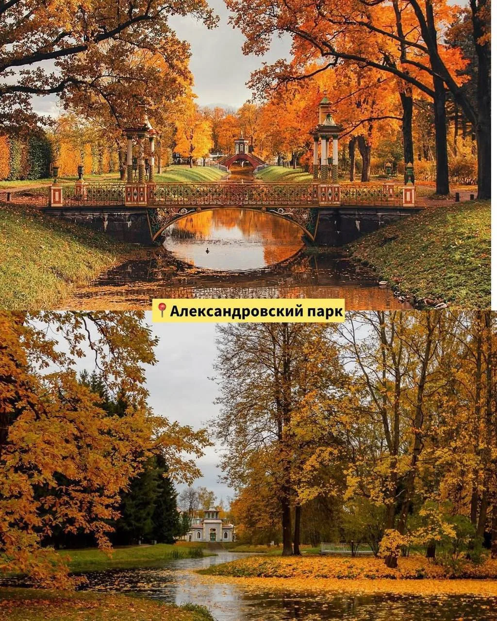 😍 7 парков Петербурга, в которых осень по-особенному прекрасна!