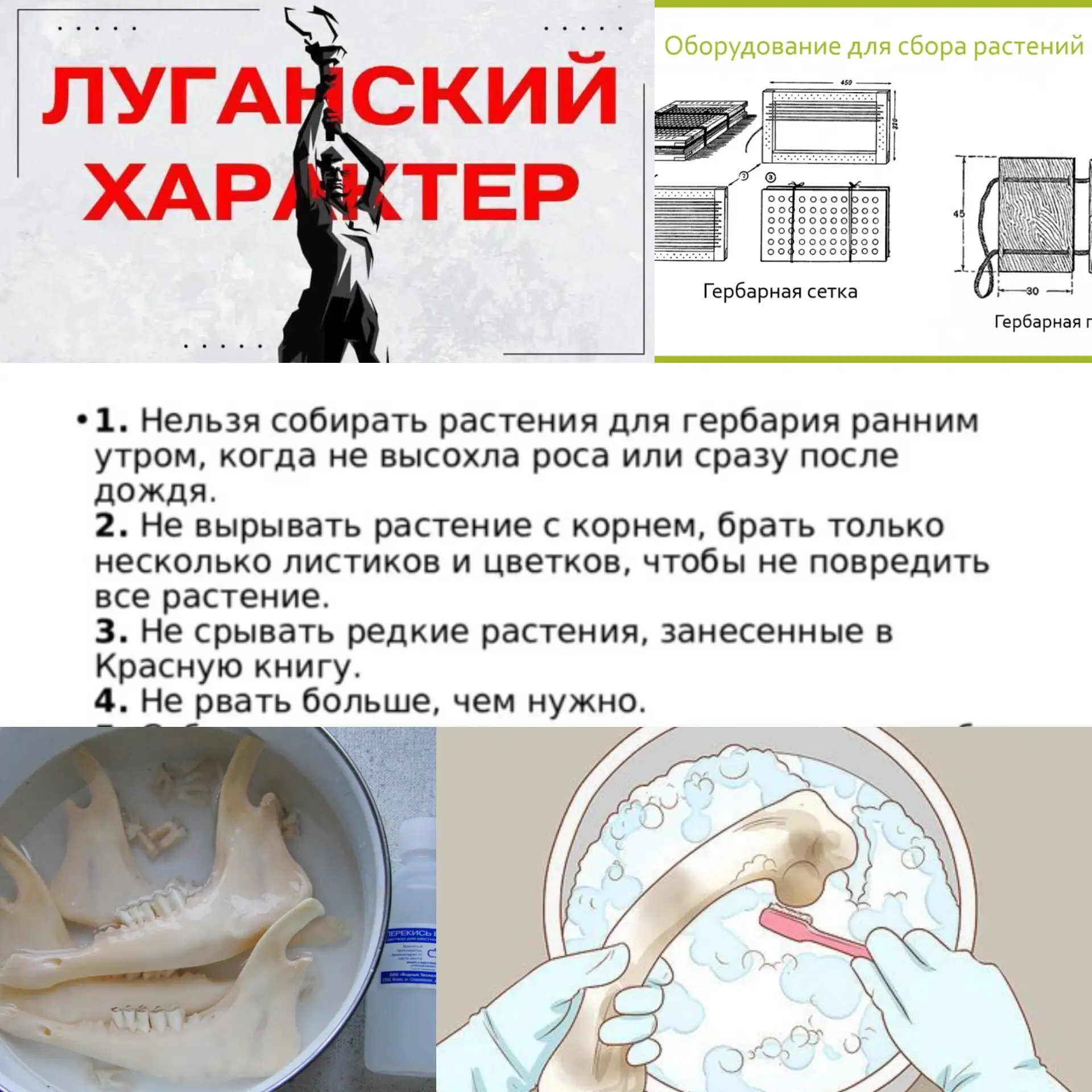 В рамках реализации Концепции "Луганский Характер" и направления "Образование и знания"...