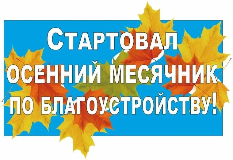 Йошкар-Ола запускает осенний месячник по уборке города, который продлится с 9 по 30 окт...