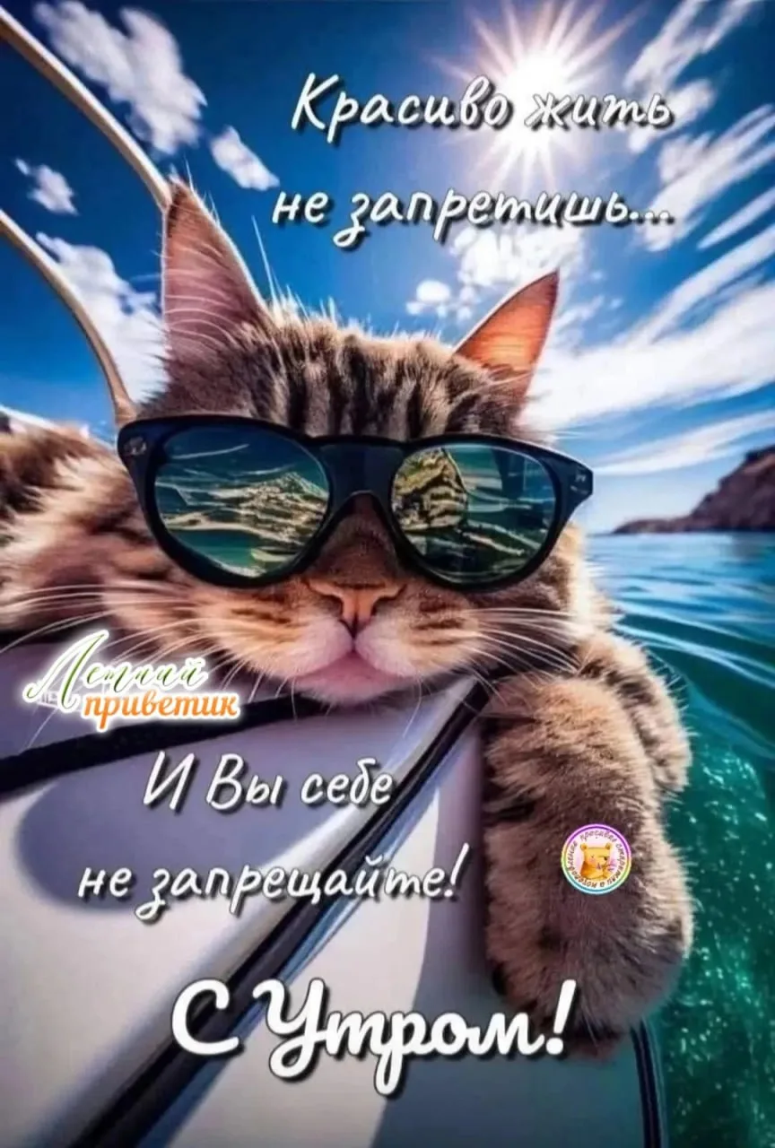 Вам открытка 💙