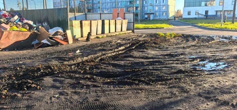 Вокруг мусоросборной площадки в микрорайоне имени Мясникова в Тайшете всегда было грязн...