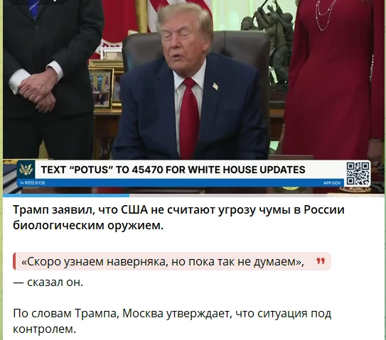 Такс... По поводу чумы, бабоньки. Как вы думаете, нужно будет приобретать обычные маски...