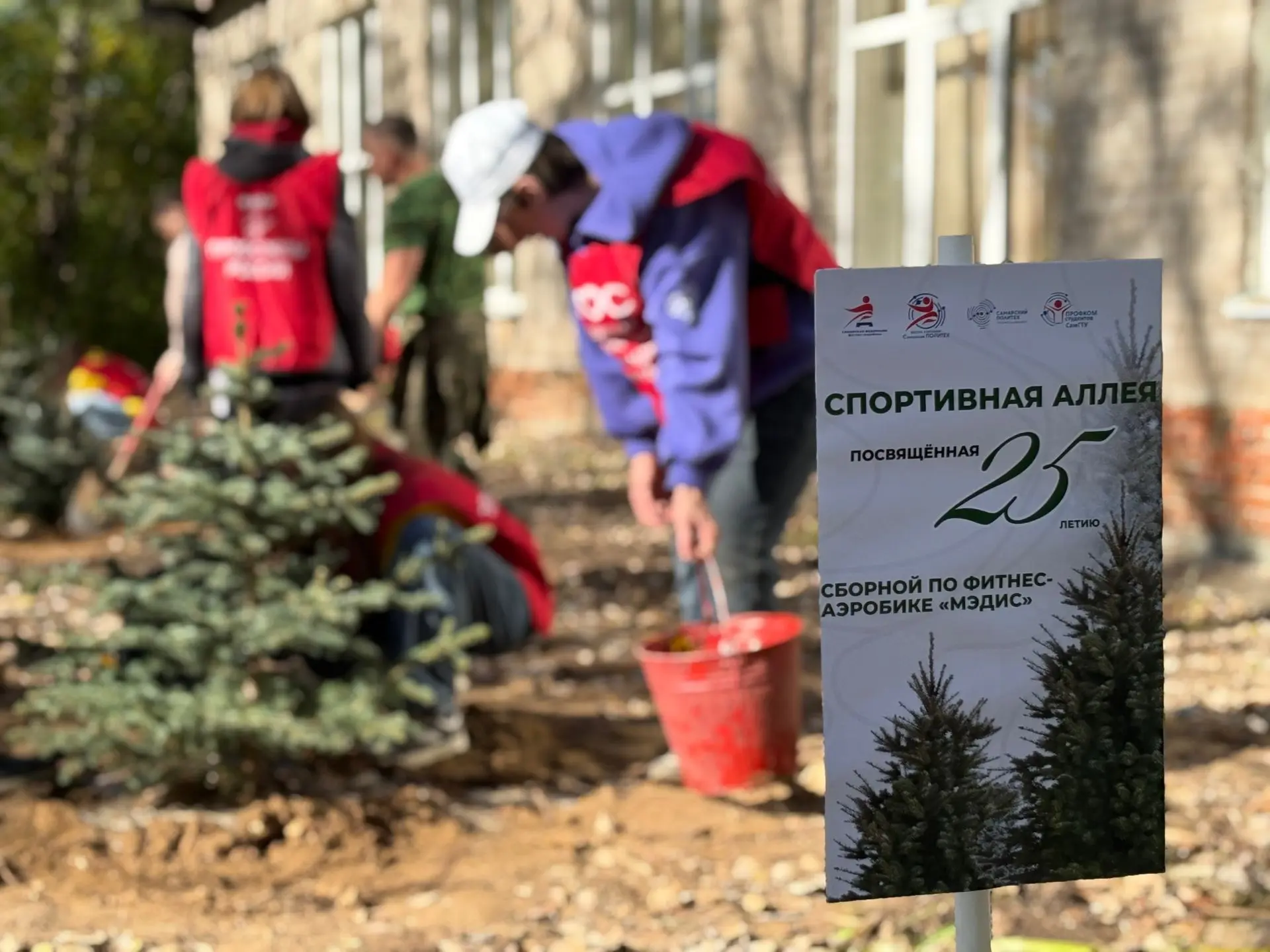В питомнике родились елочки, в «Строителе» они будут расти   🌲