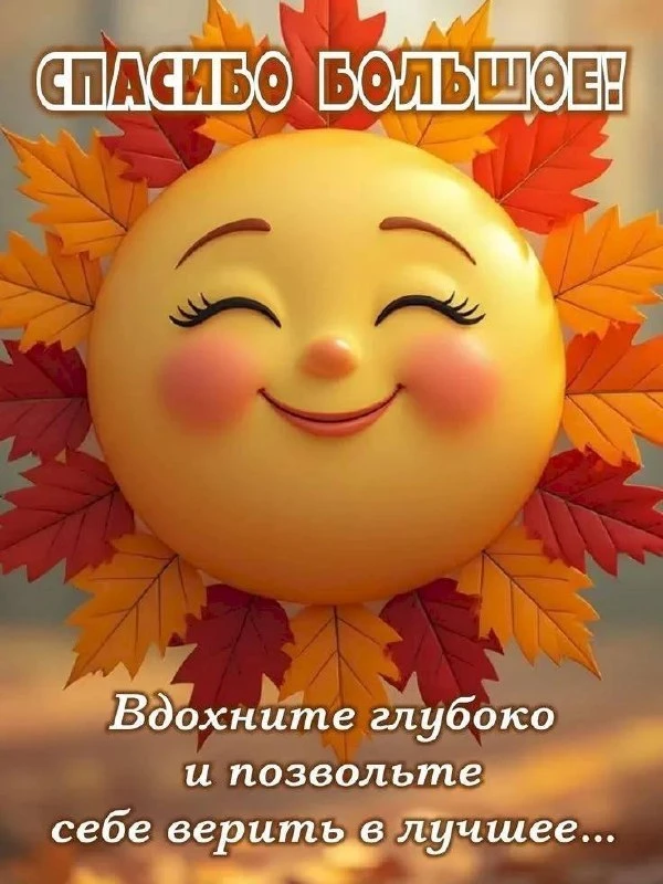 Открытки из WA — Подписывайся