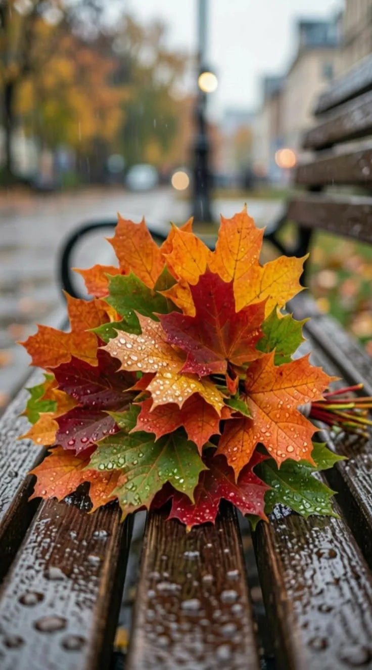 Собирай осенние дни в гербарий своего счастья!🍁🍁🍂