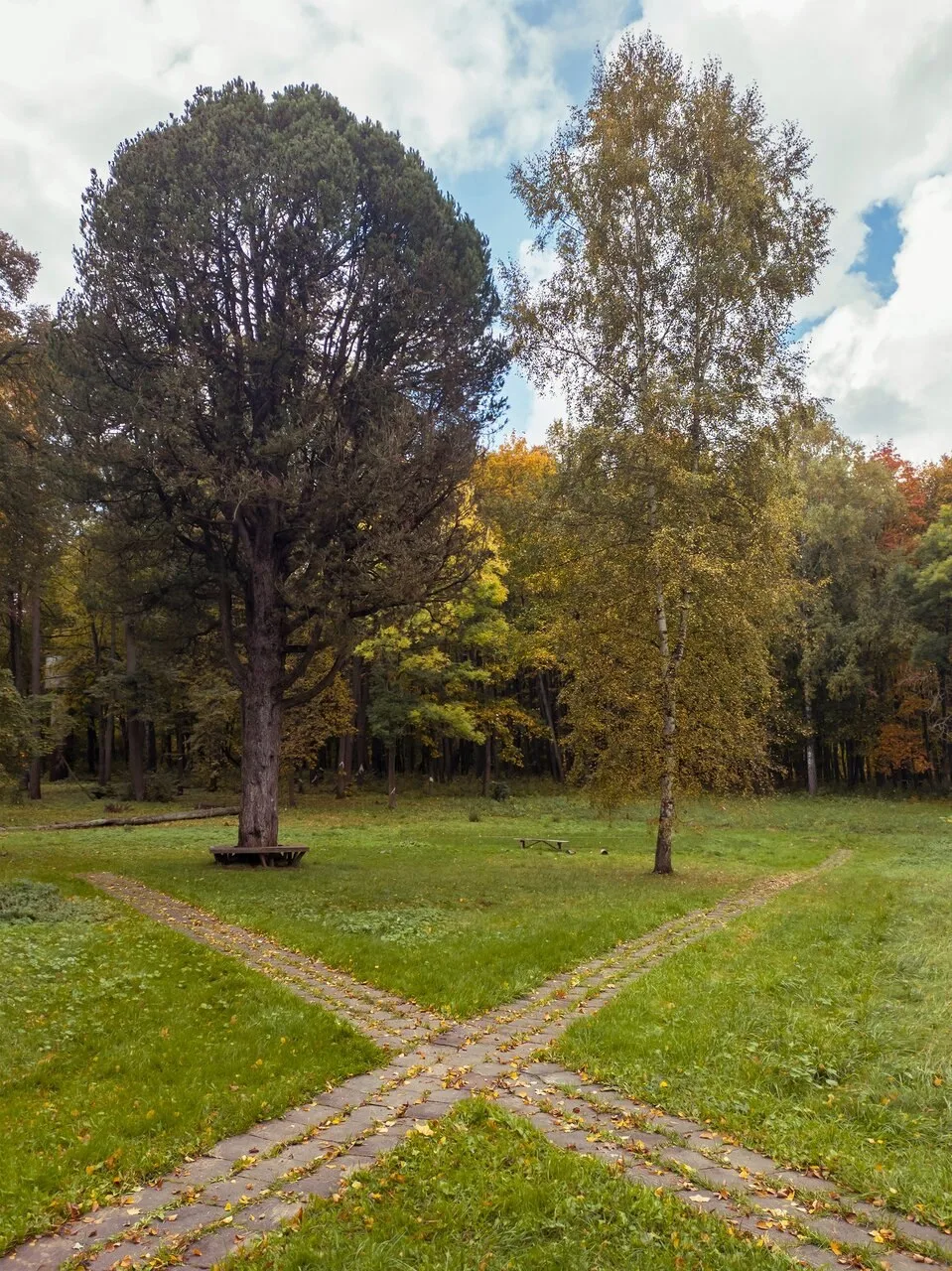 Осень в усадьбе Рязанка, на самом краю Рязанской области.