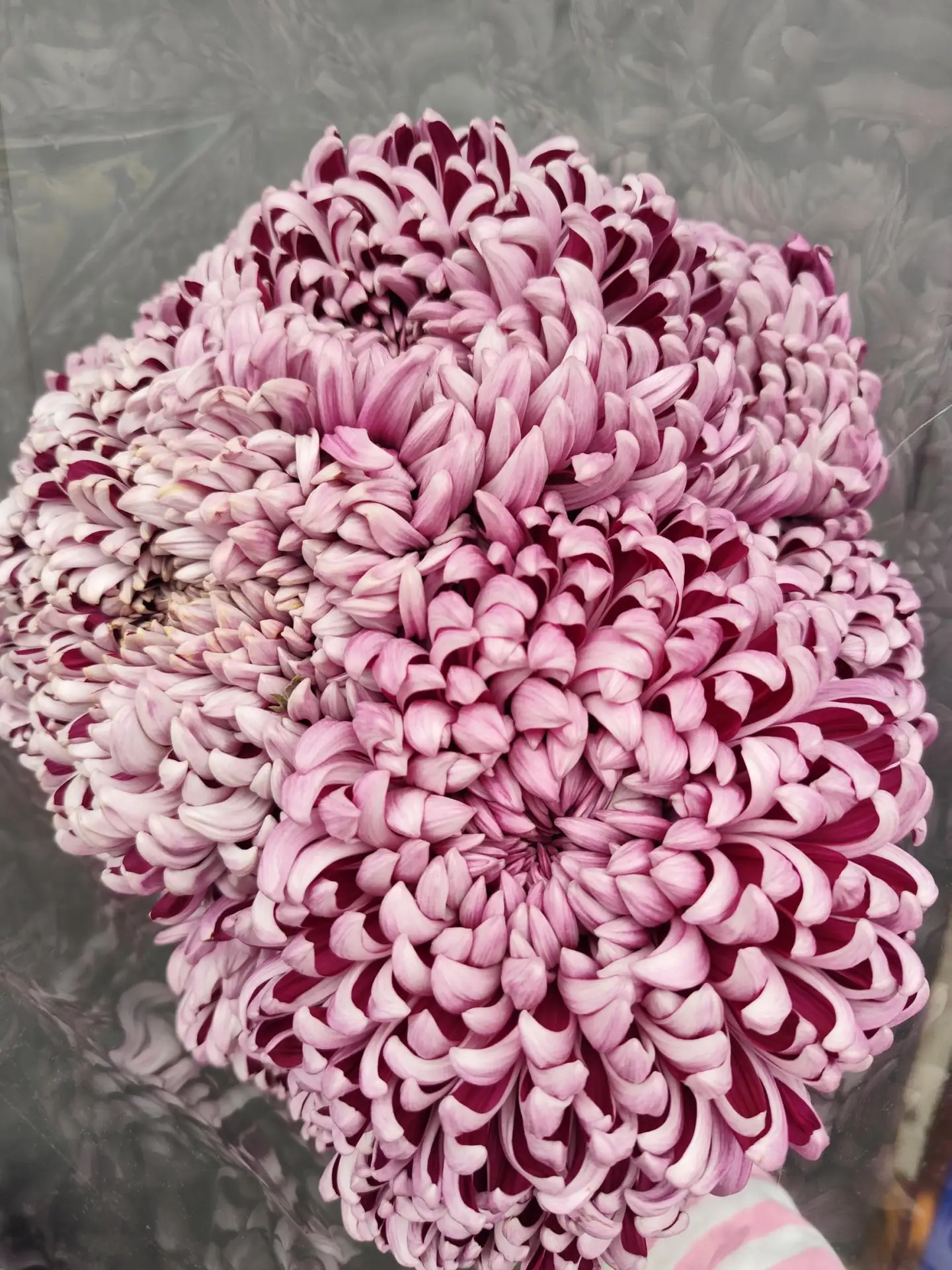 🌸 Свежее поступление