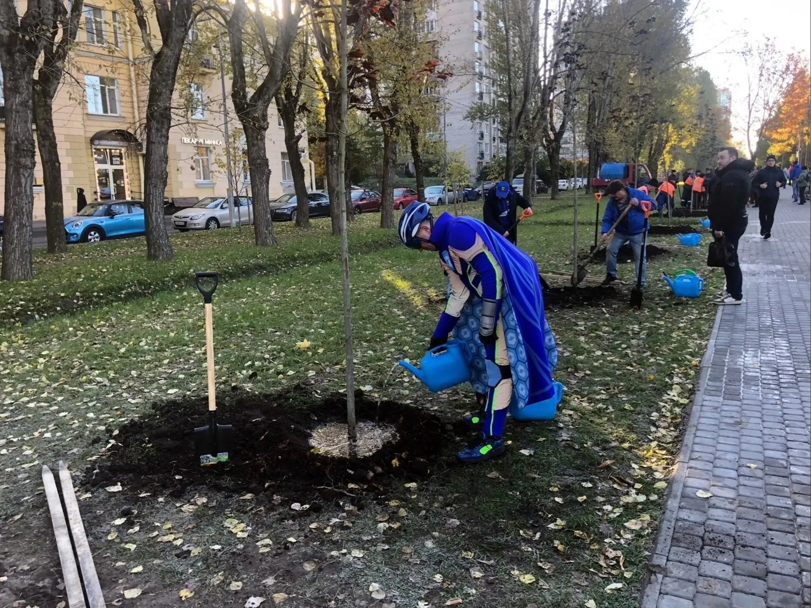 Осенняя посадка деревьев в Московском районе