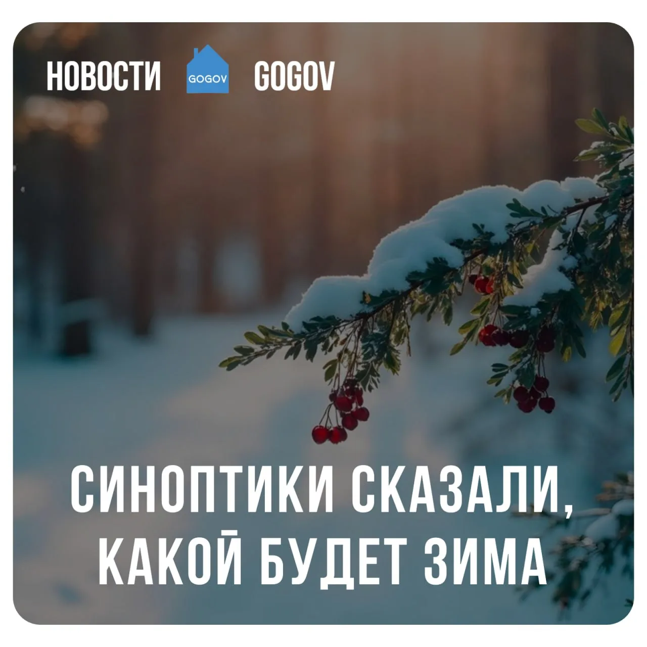 ☃️ Предстоящая зима может принести россиянам частые оттепели, резкие похолодания и быст...