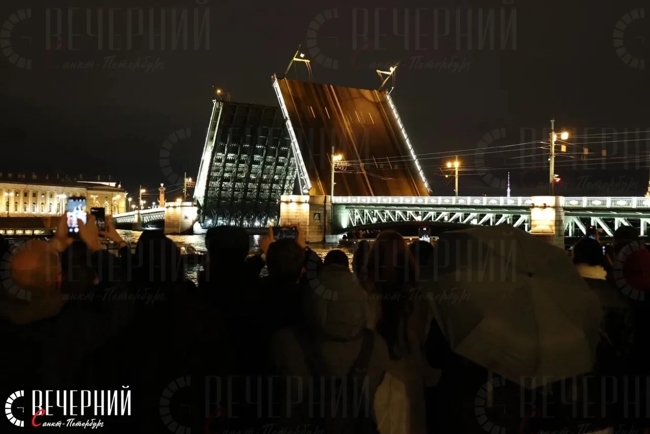 🎶 У Дворцового моста звучала музыка Ольги Петровой