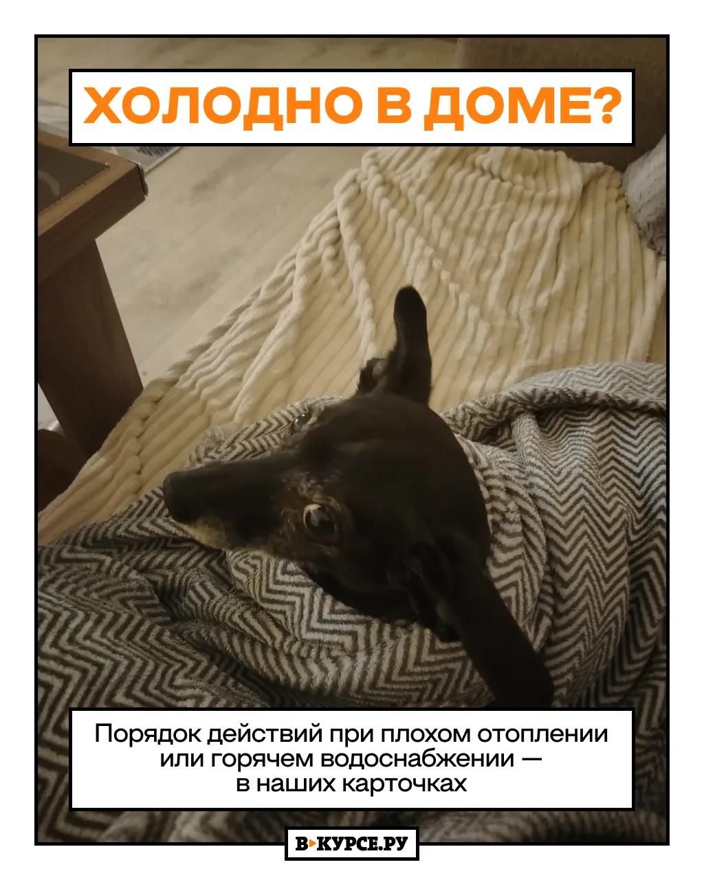 Что делать, если дома все равно холодно?🥶